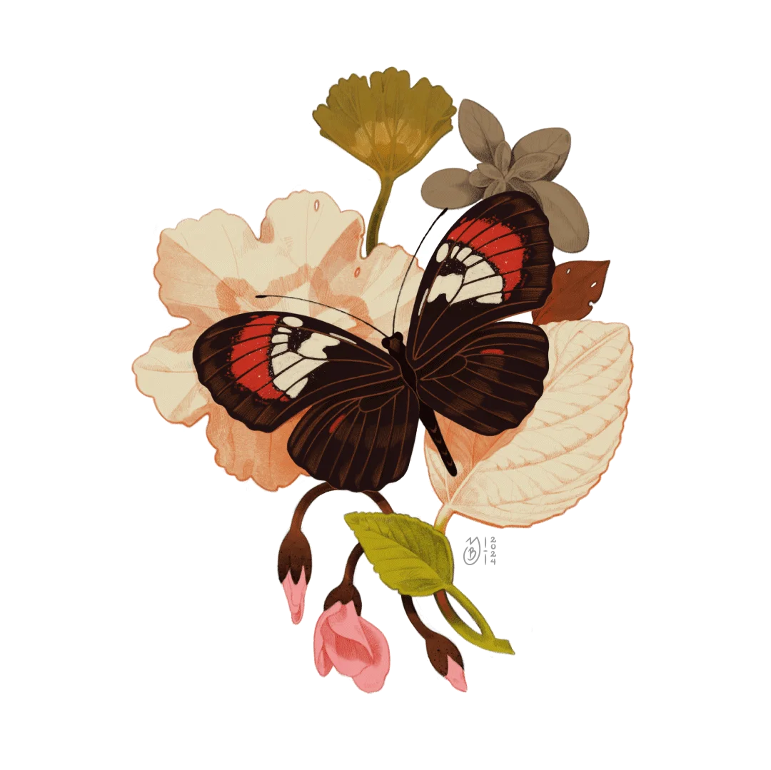 Ilustración de mariposa Heliconius Heurippa sobre hojas de árbol.