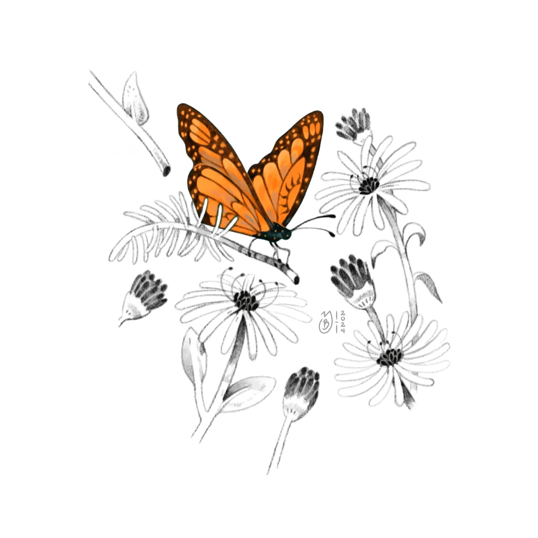 Ilustración de Mariposa Monarca rodeada de flores.
