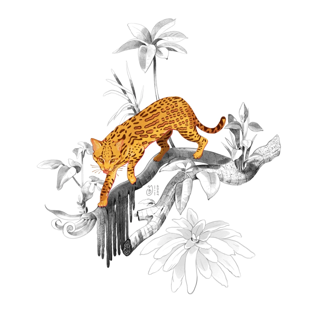 Ilustración de un ocelote sobre la rama de un árbol.