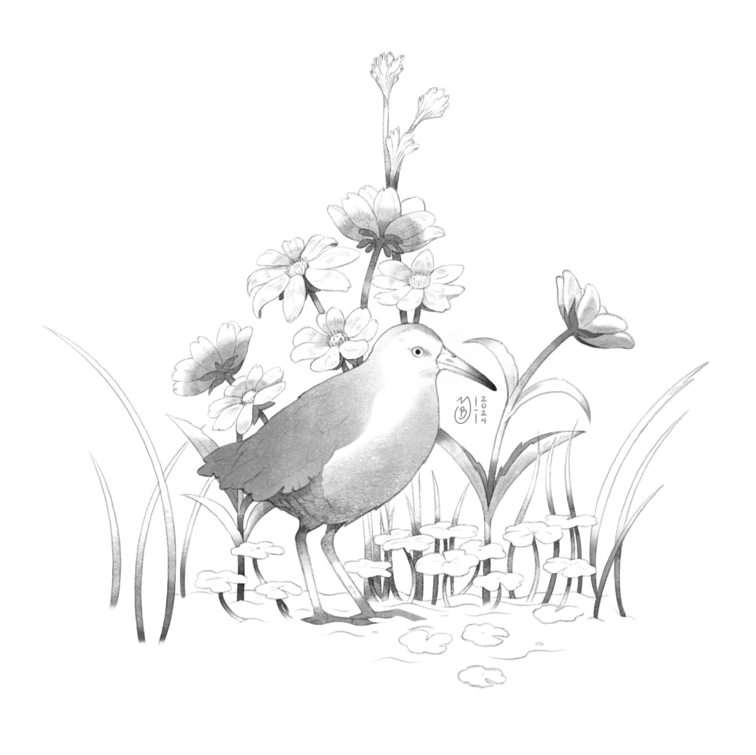 Ilustración de Tingua Bogotana rodeada de flores.