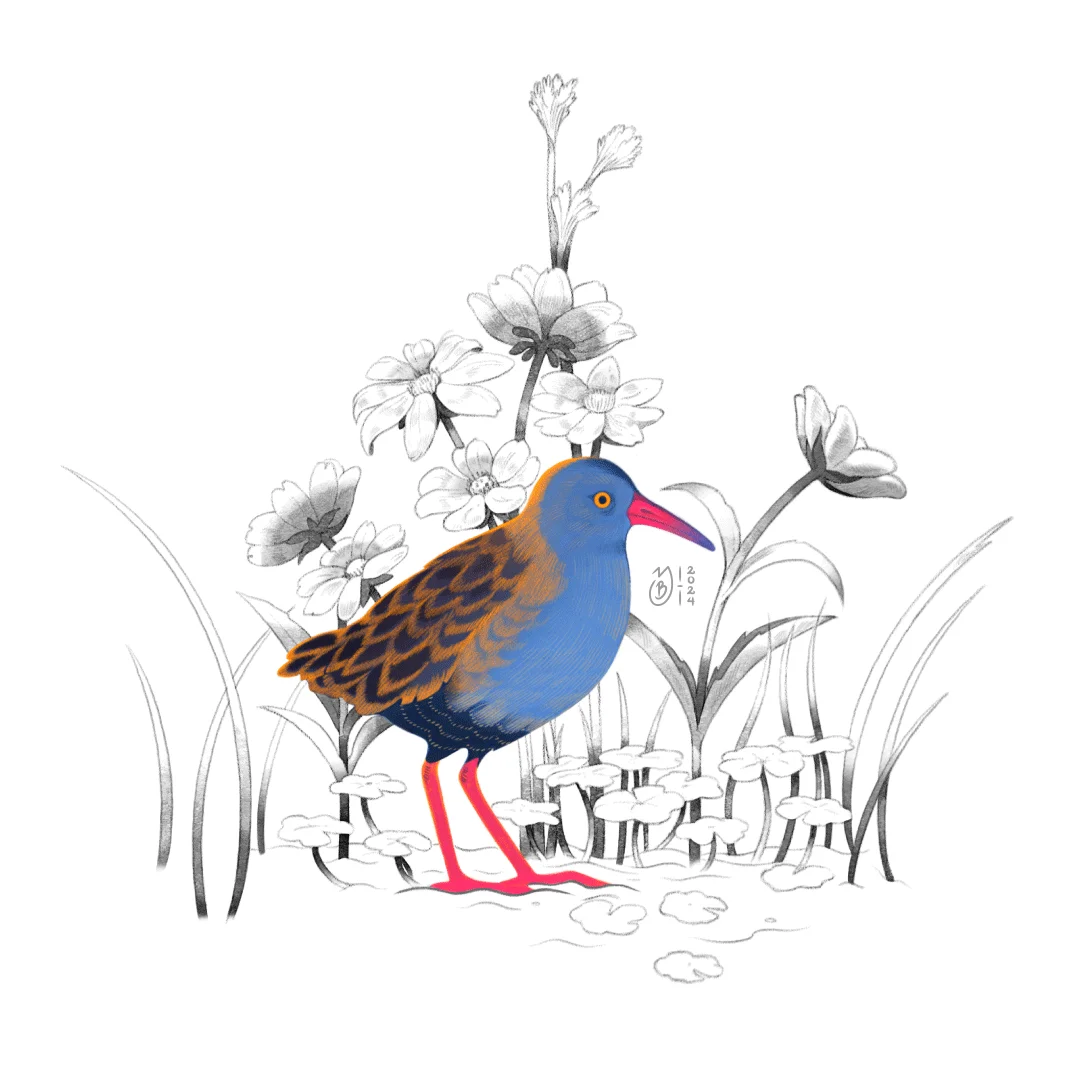 Ilustración de Tingua Bogotana rodeada de flores.