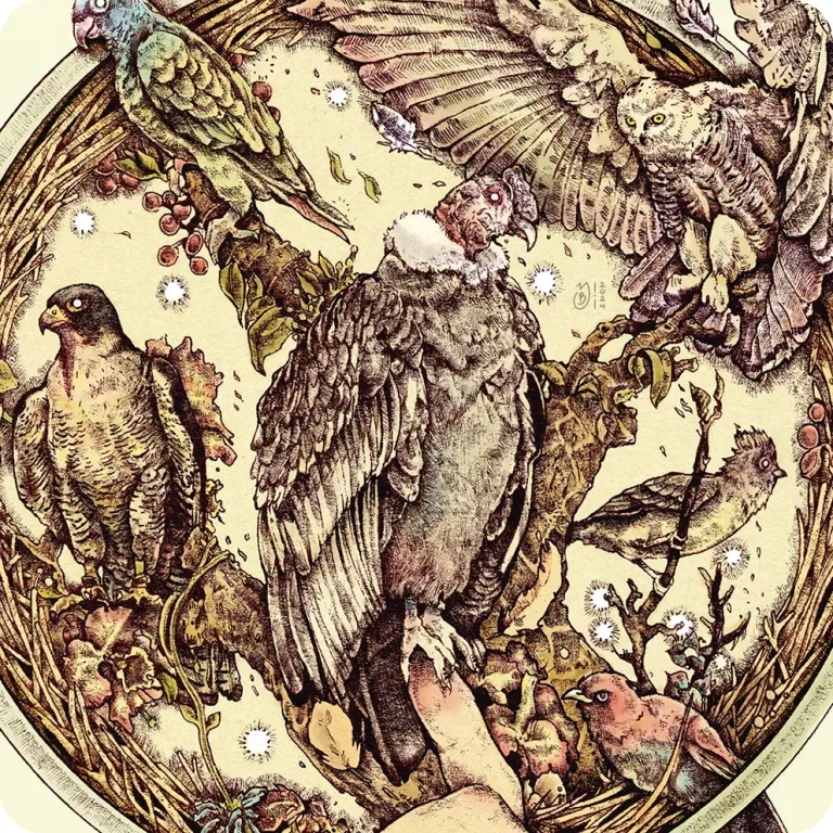 Ilustración digital aves colombianas por Yory Bastidas - Haz clic para ver otros proyectos personales de ilustración.