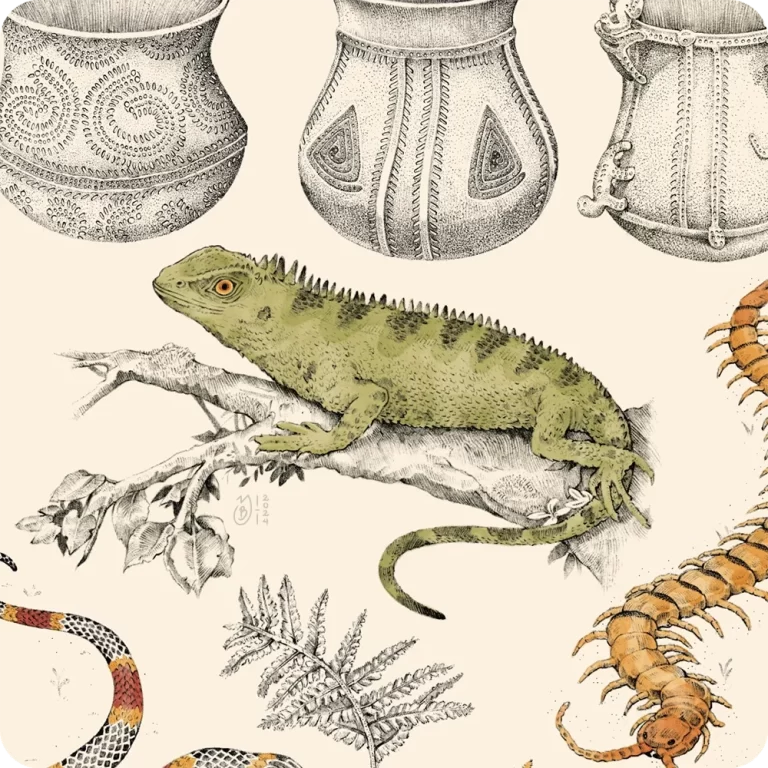 Ilustración de lagartija palo ojiroja de Tierradentro por Yory Bastidas - Haz clic para ver las ilustraciones del Parque Arqueológico Tierradentro
